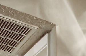Dining room with ceiling fan
